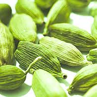 Cardamom Extra Absolute Oil